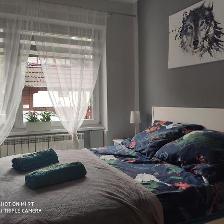 Apartament Tygrys ザコパネ エクステリア 写真