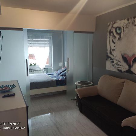 Apartament Tygrys ザコパネ エクステリア 写真