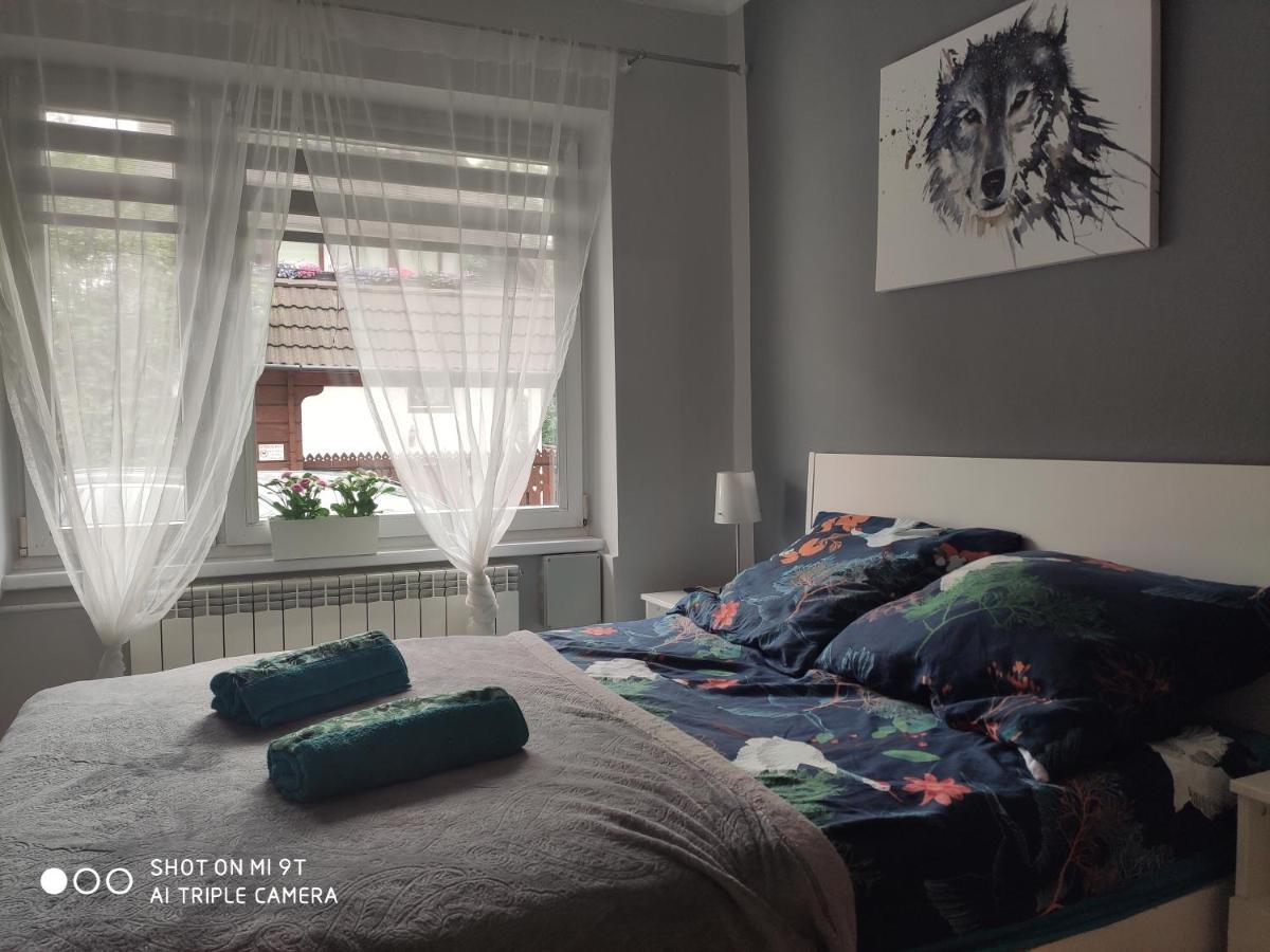 Apartament Tygrys ザコパネ エクステリア 写真