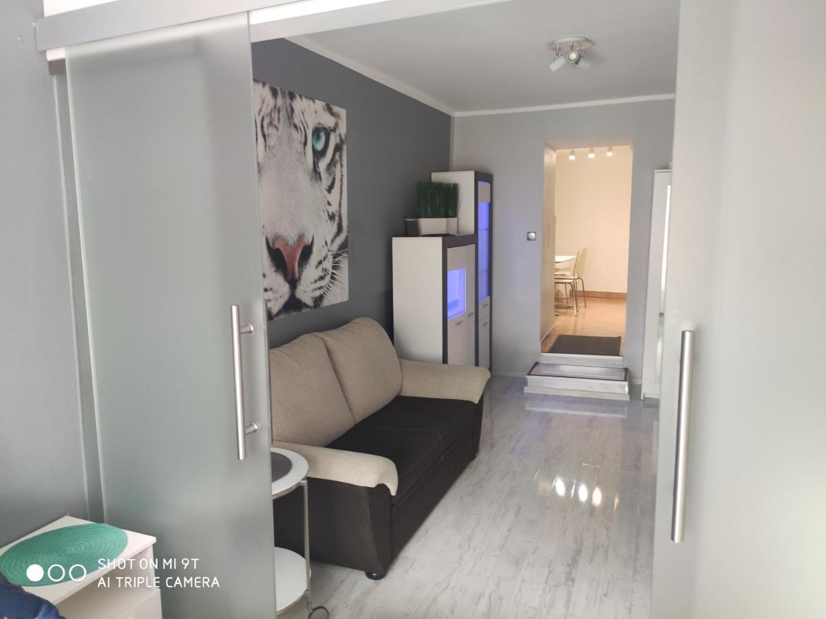 Apartament Tygrys ザコパネ エクステリア 写真