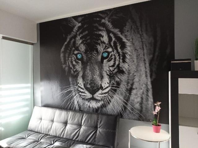 Apartament Tygrys ザコパネ エクステリア 写真